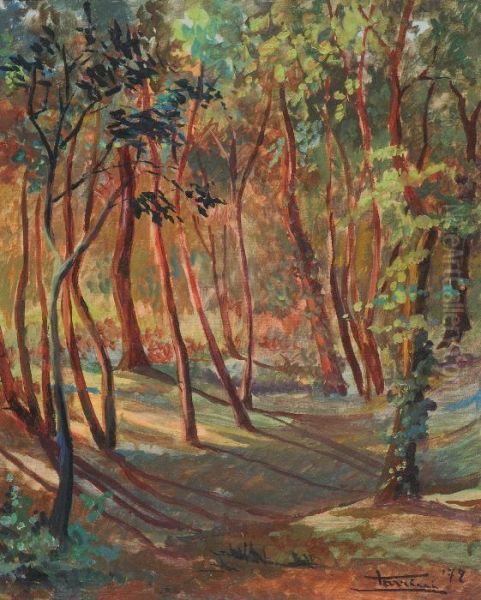 Bosco - view 1