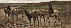 Droving Steer by Leopoldo Mariotti