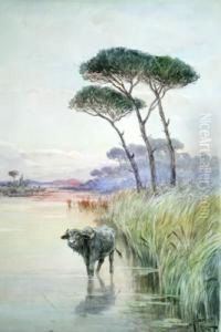 Mariotti - Palude Pontina Con Bufalo by Leopoldo Mariotti