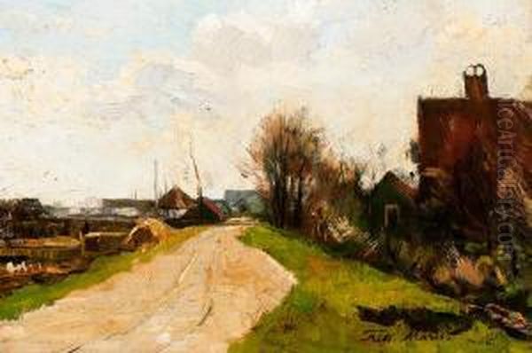 Road On A Dike With Farms - view 1