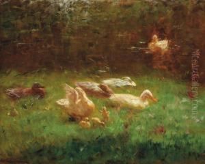 Ducks In The Grass
