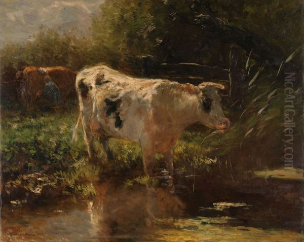 Koe Aan De Slootkant - view 1
