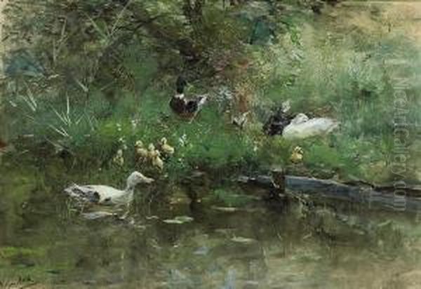 Ducks In A Meadow - view 1