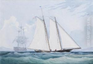 The Legendary Schooner Yacht by William Markham