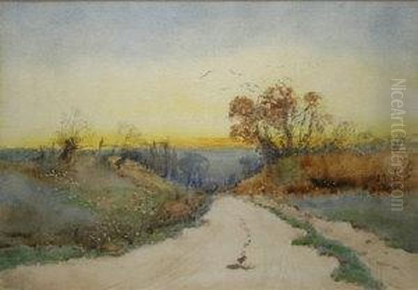 Evening Light - view 1