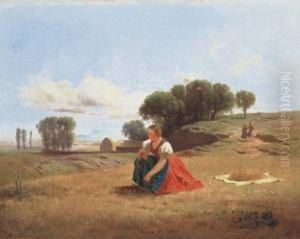 Summer In The Fields