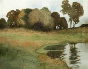 Trees In Landscape by Peter Markovic
