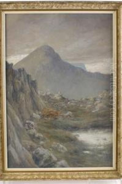 A Highland Pool With Sheep Grazing Beyond - view 1