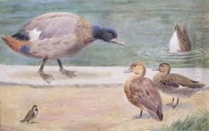 Ducks By The Pool by Henry Stacy Marks