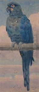A Blue And Green Parrot Seated On Aperch by Henry Stacy Marks