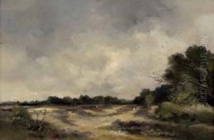 Sommerlandschaft by Antoon Markus