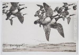 Canada Geese In Flight by George Marples
