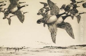 Barnacle Geese Alarmed by George Marples