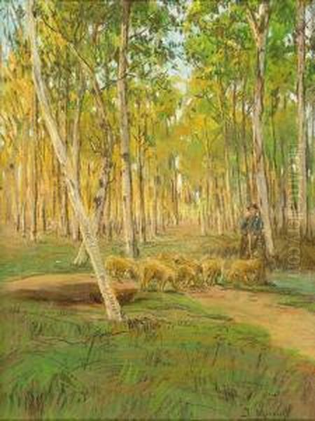 Paisaje - view 1