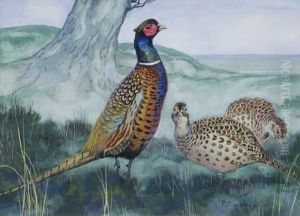 Faisan Et Poules Faisanes by P Marqueyz