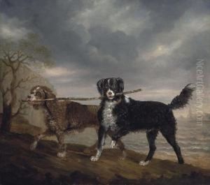 Mrs. Orby Hunter's Spaniels, Diver And Shuckleback, By The Sea by Benjamin Marshall
