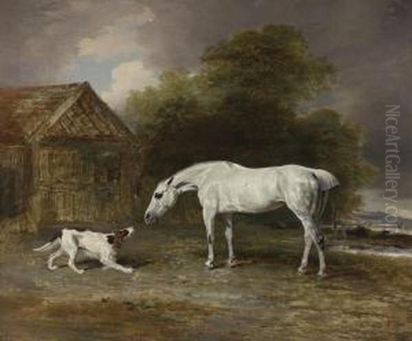 A Grey Hunter And A Spaniel - view 1