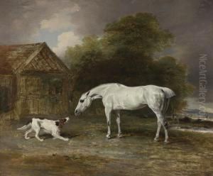 A Grey Hunter And A Spaniel