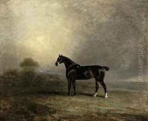 Bembo, A Favorite Hunter Of Charles Shuttleworth by Benjamin Marshall