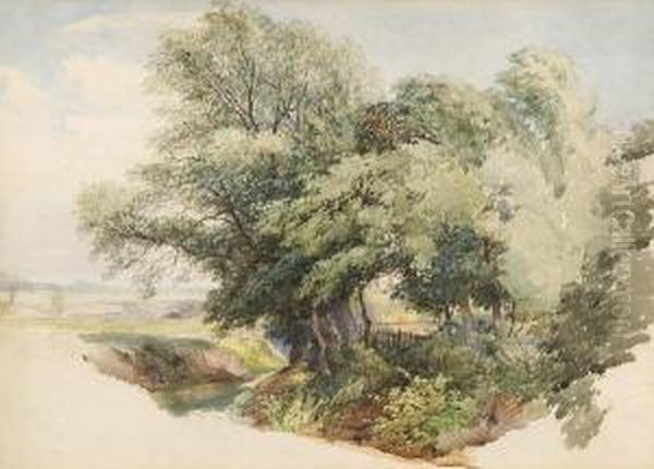 Summer Landscape - view 1