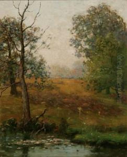Maryland Pond - view 1