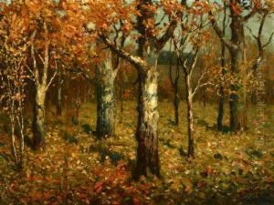 Autumn Trees Autumn Trees