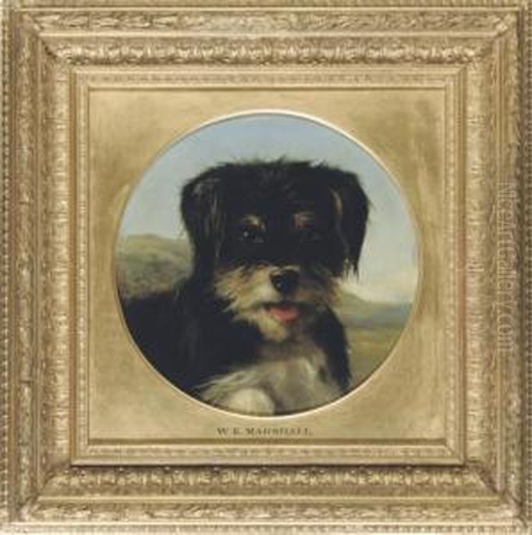 The Head Of A Terrier - view 1