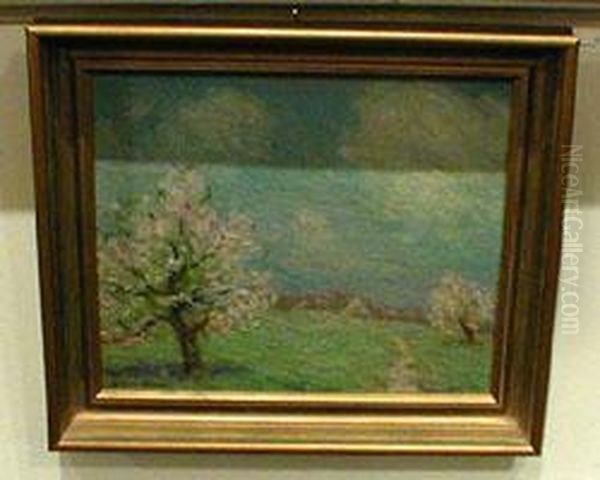 Trees And Clouds - view 1