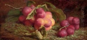 Cherries On A Branch; And Plums On A Branch by John Fitz Marshall