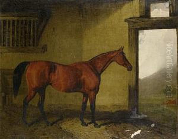 Cobweb In A Loose Box With Her Foal At The Door - view 1