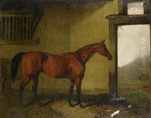Cobweb In A Loose Box With Her Foal At The Door