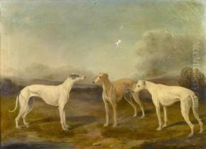 A Portrait Of Sea Pink, Sea Rock And Sea Foam by William Elsob Marshall