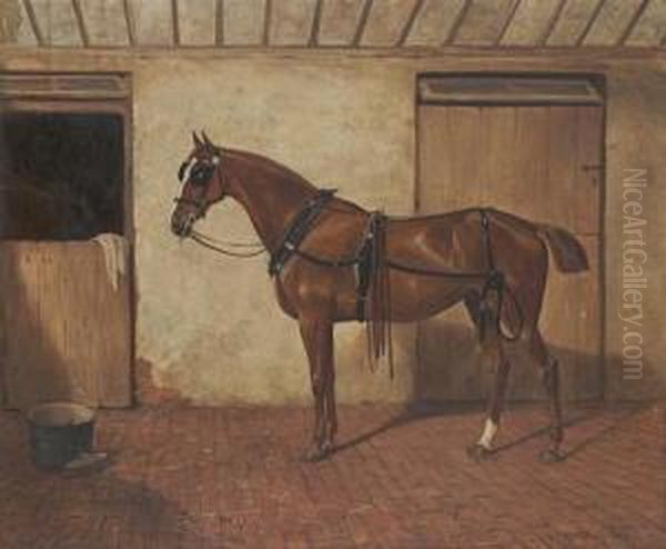 A Bay Horse In A Stable - view 1