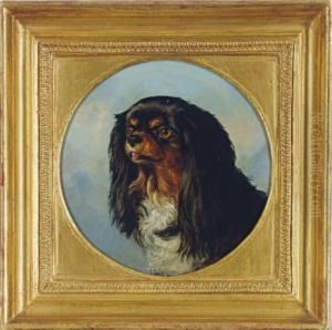 Portrait Of A Cavalier King Charles Spaniel by William Elsob Marshall