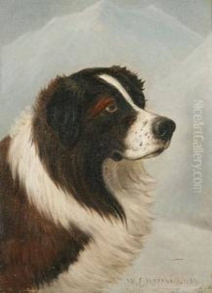 St. Bernard In A Winter Landscape - view 1