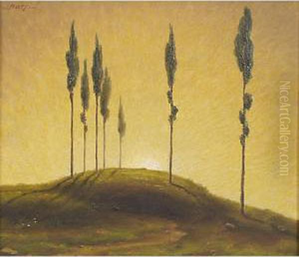 Cipressetti - view 1