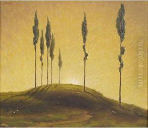 Cipressetti by Romeo Marsi