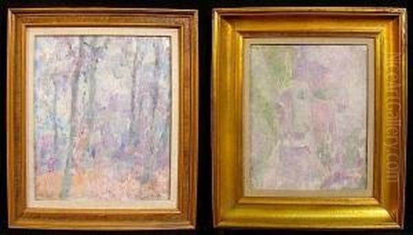 House In Flanders; A Forest Scene (2) - view 1