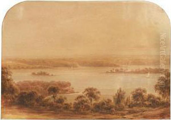 A View Of Sydney Harbour - view 1