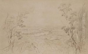 View From Mt. Coolangatta,shoalhaven River