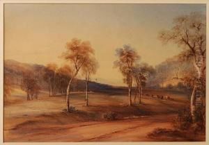 View To The Stone Tower Windmill, Mulgoa Valley