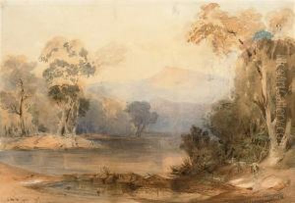 Bara Creek, Near Wollongong, Illawara District, New South Wales - view 1