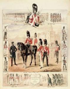 The Infantry Of The Guard: Studies Of Grenadier Guards, Scotsfusilier Guards And Coldstream Guards