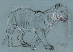 Estudios, Y Un Tigre