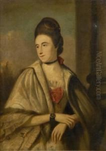 Macleod Of Gieanies by David Martin