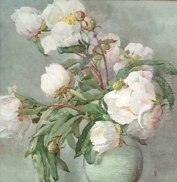 Paeony - view 1