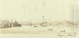 A Naval Review In The Bosphorus by Admiral Sir Henry Byam Martin