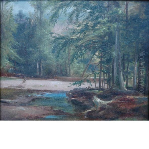 Wooded Landscape - view 1