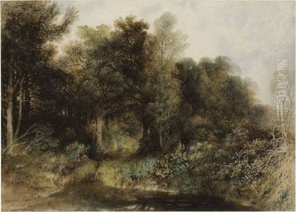 A Stream Flowing Into A Pool In A Forest - view 1