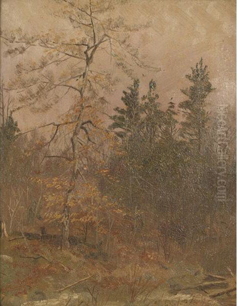 Autumn Clearing At Dusk - view 1
